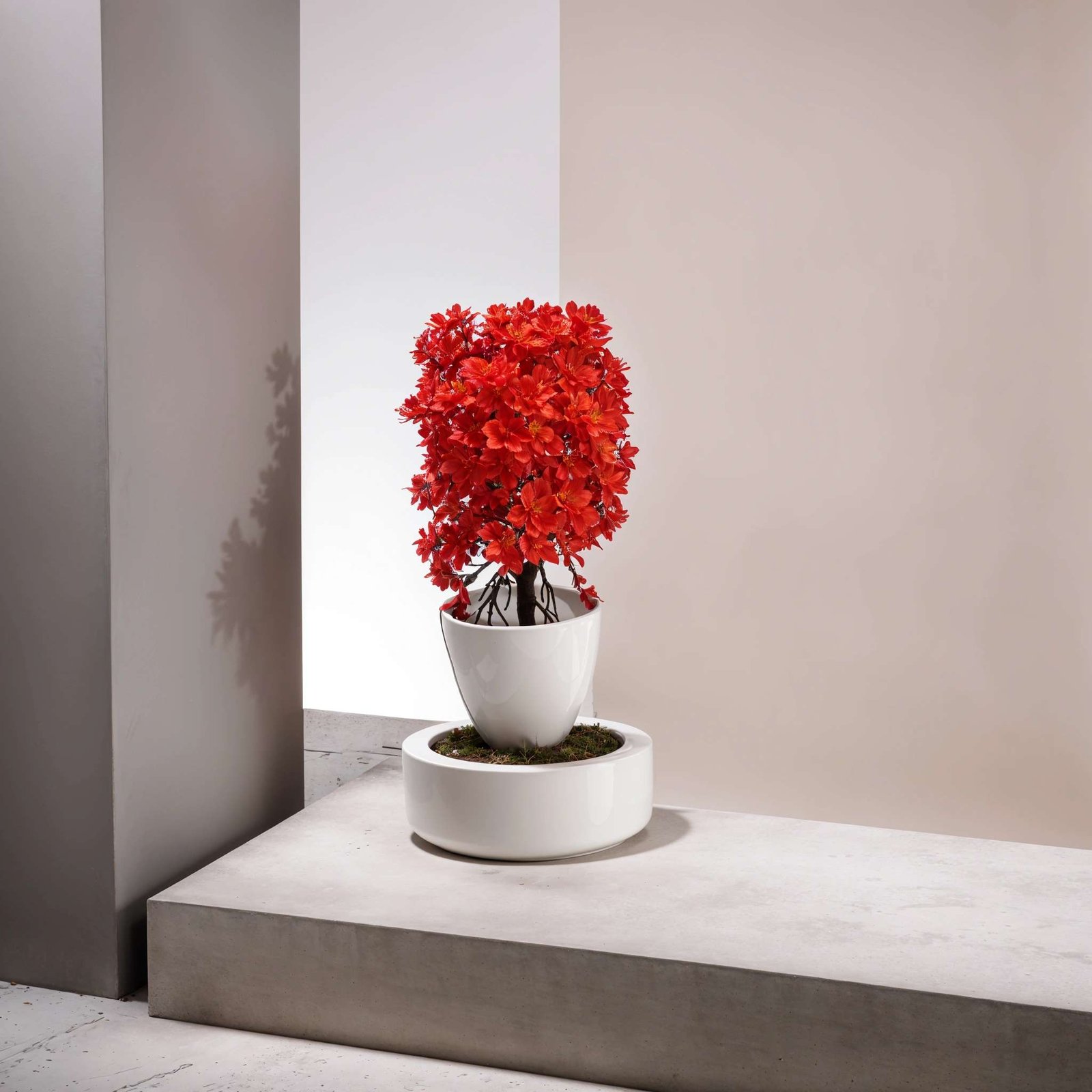 Flowers Artificial Wild Plant with Pot Showcase Decoration Plants Flowers | Fake Plant | Artificial Plants for Home Decor Office Gifting Plants Decorative (Pack Of 2) (RV-AP16) - Image 4